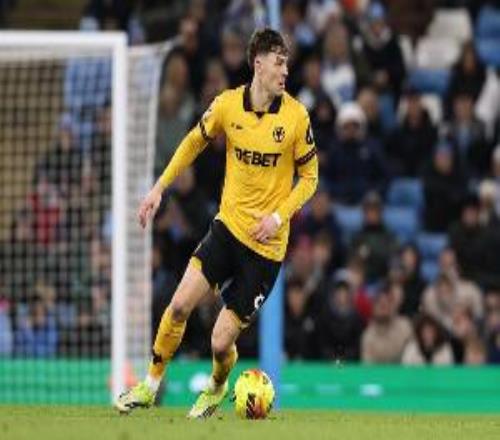 TA：水晶宫总价4800万镑报价狼队前锋拉尔森，球员本赛季英超1球