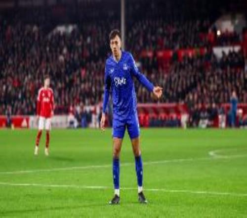 記者：水晶宮想簽埃弗頓攻擊手麥克尼爾和里昂后衛(wèi)克魯伊維特