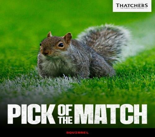 ��ʱ��Ϸ��(�й�)����