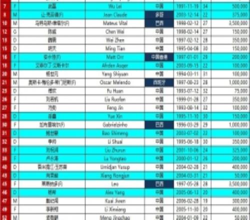 202526賽季亞冠精英聯賽報名名單第三注冊窗口上海海港