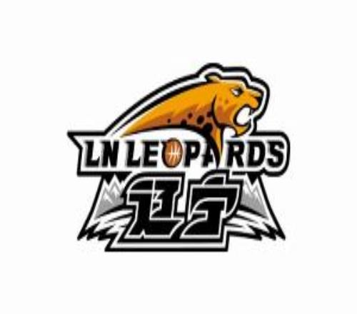 常規(guī)賽才打23輪遼寧簽下布羅金頓后將只剩最后一個(gè)換外援名額