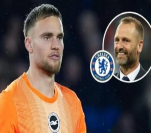 英媒：切爾西將和拜仁競爭維爾布魯根，并愿滿足海鷗5000萬鎊要價(jià)