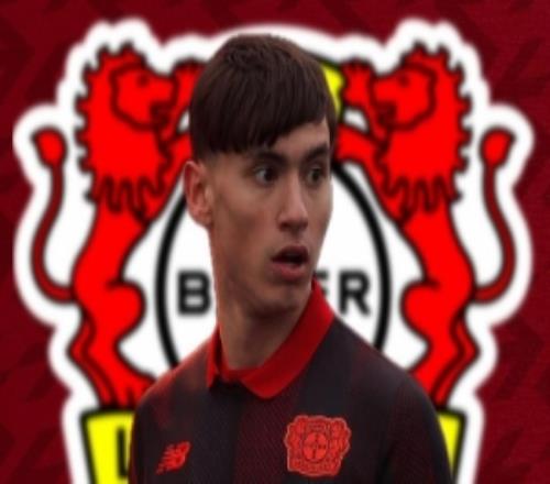 記者：略高于600萬到700萬歐，藥廠敲定17歲天才前鋒達米亞諾維奇