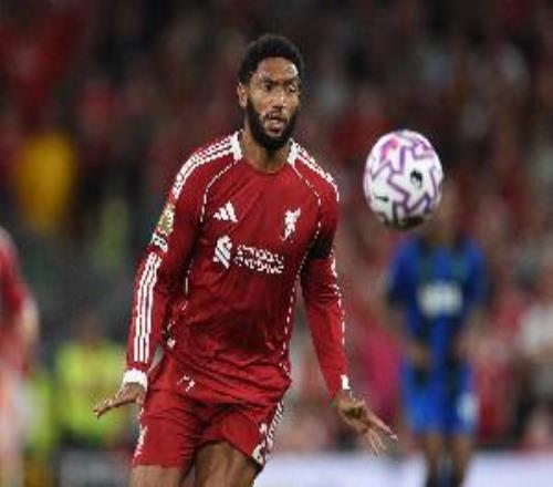 喬戈麥斯：我們想在杯賽走得更遠希望遠藤航還有機會去世界杯