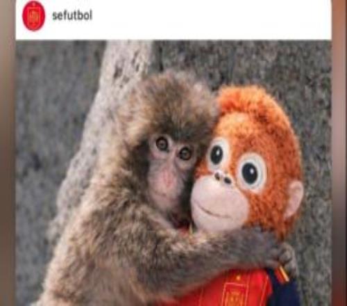 赫伊森轉(zhuǎn)發(fā)的動(dòng)態(tài)：西班牙隊(duì)表達(dá)對小猴子Punch的關(guān)愛