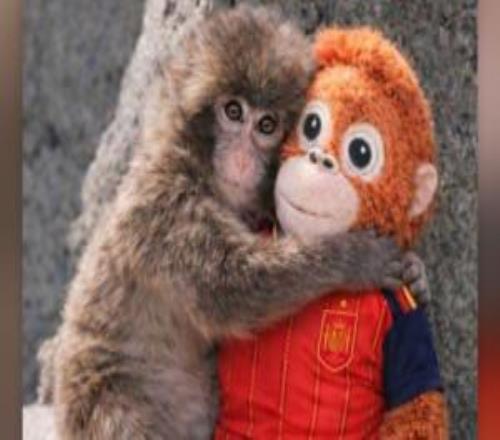 個人社媒仍未道歉！赫伊森更新社媒，照常轉(zhuǎn)發(fā)西班牙國家隊內(nèi)容