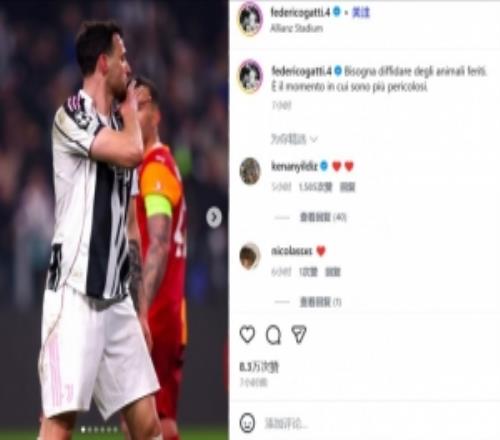 斑馬軍團歐冠出局！加蒂：小心受傷的動物，這是它們最危險的時候