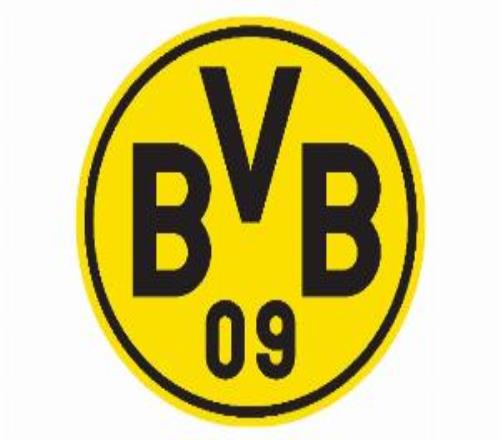 連鎖反應！圖片報：多特歐冠遭淘汰損失1100萬歐，今日股價大跌