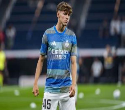 馬卡報(bào)：皮塔奇在歐冠的表現(xiàn)讓皇馬震撼，阿韋洛亞已考慮讓其首發(fā)