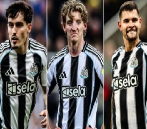 被豪門盯上！電訊報(bào)：紐卡為托納利、戈登和吉馬良斯標(biāo)價(jià)1億鎊