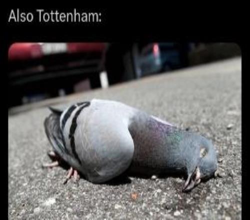 今日趣圖：我花了零秒鐘就猜出西蒙尼次回合的陣型，你也來試試吧