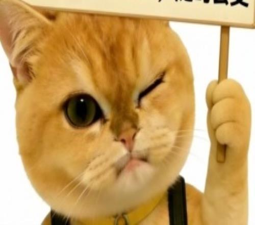 LPL爆料人：BLG二隊(duì)上單加入iG，iG輔助Meiko、Jwei二選一，呼吸暫時(shí)休息