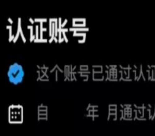 歐盟重罰1.2億歐元！馬斯克旗下X平臺(tái)“藍(lán)標(biāo)”認(rèn)證機(jī)制將整改