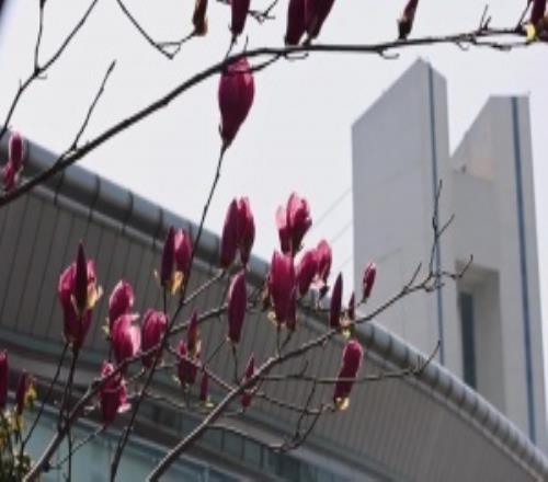 2026中超聯(lián)賽第2輪浙江俱樂部11上海申花MatchDay比賽日紀(jì)實(shí)