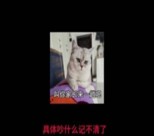 shanji自述職業(yè)故事：一個(gè)網(wǎng)吧賽，把我送進(jìn)了電競(jìng)?cè)? />
<div   id=