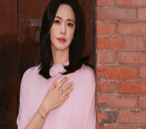 媒体人吐槽姚晨：居然又离婚了第一段婚姻前夫凌潇肃当时被她坑惨了