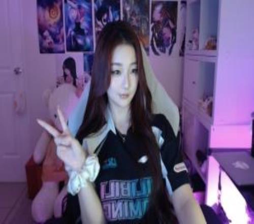 解說Kitty更新推文：序幕就此拉開