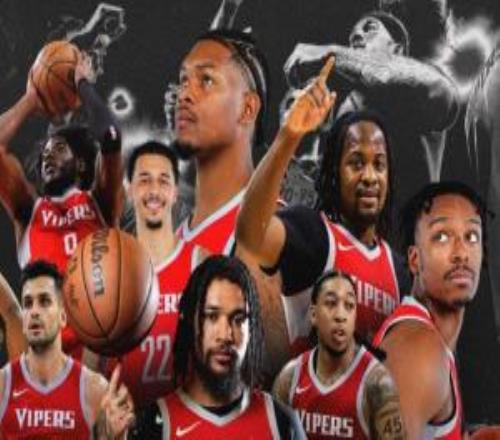 火箭下屬球隊毒蛇連續(xù)十年鎖定季后賽雨姐+牛頓皆要征戰(zhàn)！