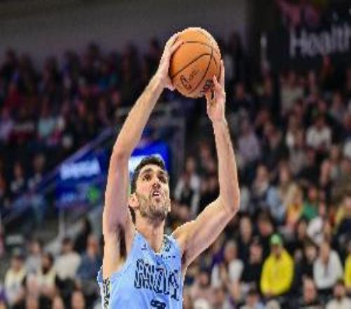 灰熊官方：阿尔达马成功接受右膝关节镜手术将缺席本季剩余比赛