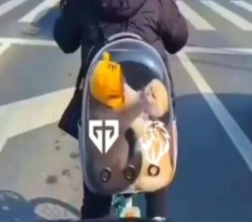 LYON發布對陣GEN賽前視頻：畫面可能令人不適請謹慎觀看