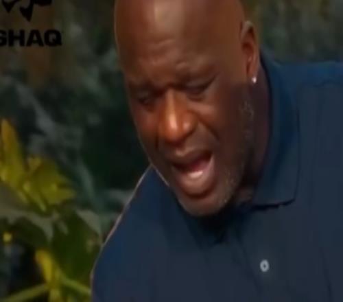 奧尼爾做飯：這道菜從擺盤到火候打滿分想不想嘗嘗大鯊魚特供