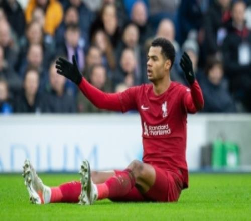 加克波：不清楚球隊問題出在哪必須再贏7場聯(lián)賽確保進軍歐冠