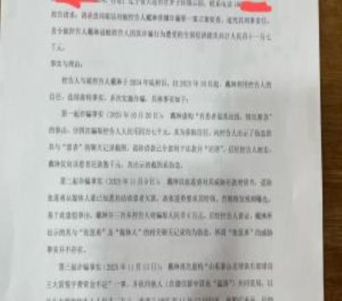 李平康曝光對戴琳的刑事控告書：三起詐騙，共騙取十一萬七千元
