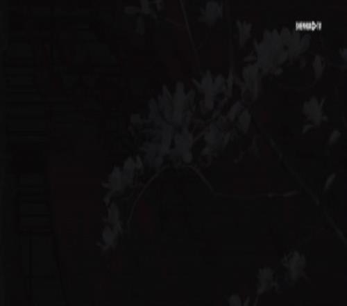 2026中超聯(lián)賽第3輪北京國安11上海申花MatchDay比賽日紀(jì)實