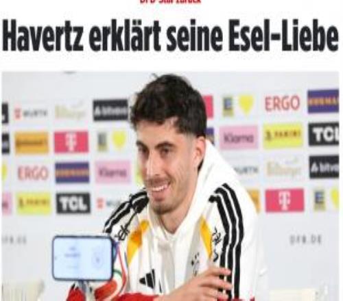 哈弗茨不知道為什么從小就喜歡驢我的未來在阿森納&在那很開心