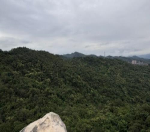 Shad0wo分享生活照：團建爬山日，依舊是體力最差的