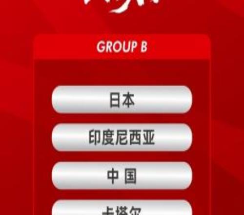沖擊世少賽！足球報(bào)：中國(guó)有一定可能性接手舉辦2026年U17亞洲杯