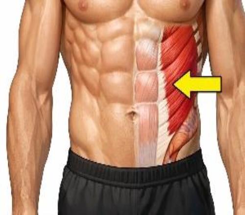 腹斜肌很重要！里夫斯受傷不是個例NBA正在進入“核心過載時代”