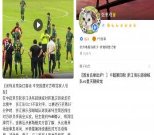 网传浙江跟队称"李镇全辱骂米特里策家人"，删帖后遭重庆球迷声讨