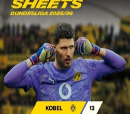 本賽季德甲門將零封榜：科貝爾13場居首，努貝爾10場、諾伊爾7場