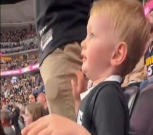 美媒：三歲小約基奇球迷怒噴亞歷山大每次都TM假摔！