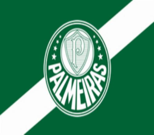 帕爾梅拉斯主席支持巴西足協(xié)建立單一聯(lián)賽：有些球隊自以為是皇馬