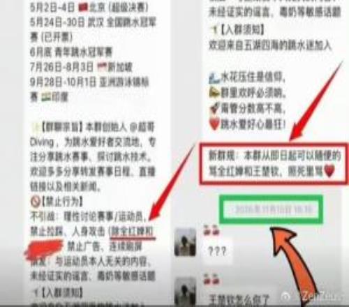 全红婵遭网暴已报警！网传282人群组长期攻击全红婵&起侮辱性绰号