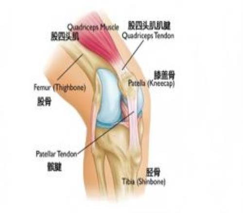 海港外援加布重傷！令球員聞風(fēng)喪膽的“髕腱斷裂”大羅曾3次遭遇