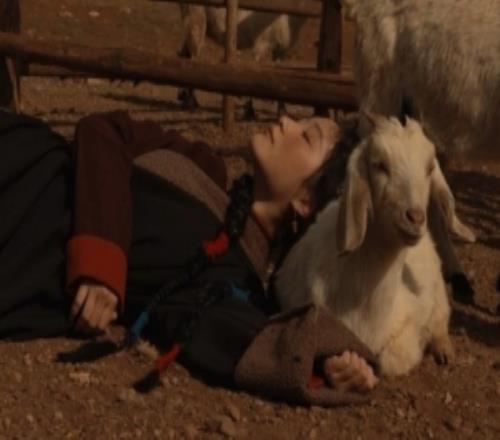 KPL主持一雪發(fā)布寫真：火為源，天地之間，有生命之物