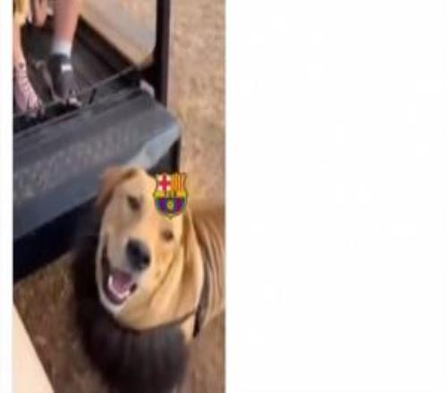 極致嘲諷！馬競官方曬視頻諷刺巴薩，雄獅其實(shí)是戴頭套的狗！