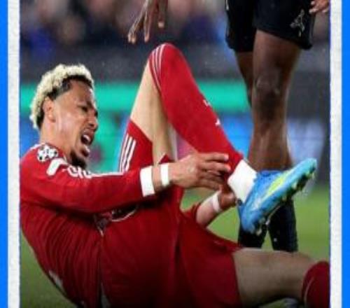 傷缺9個月！利物浦官方：?；倏烁鞌嗔眩惣緢箐N無緣世界杯