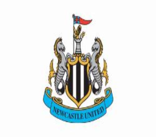 郵報(bào)：紐卡新球場(chǎng)選址發(fā)現(xiàn)蝙蝠棲息地，建造計(jì)劃因此受阻