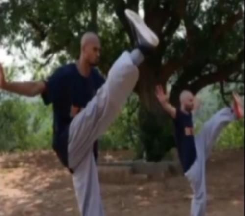 文班：我被少林功夫表演折服了很羨慕&心想我也要能做這些該多好