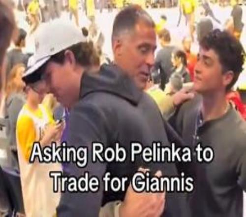 有操作空間嗎湖人球迷to佩林卡：把字母哥搞來！