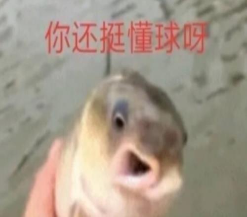 该退休了帕金斯：莱利每年休赛期都想钓鲸鱼最后只钓上来鲈鱼