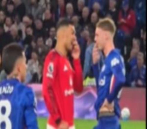 哥倆說啥呢卡塞米羅與帕爾默在場上捂嘴交流，兩人都露出了笑容