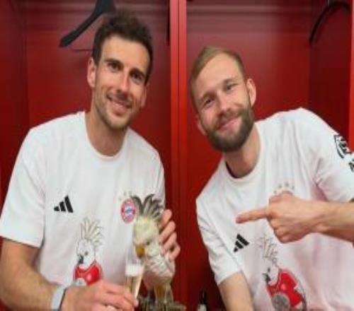 圖片報(bào)：拜仁球迷商店上新吉祥物鸚鵡周邊球迷甚至可以給它寫信