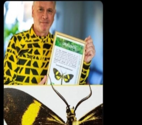 多特球迷在秘魯雨林發現蝴蝶新物種，將其命名為“多特蒙德蝶”