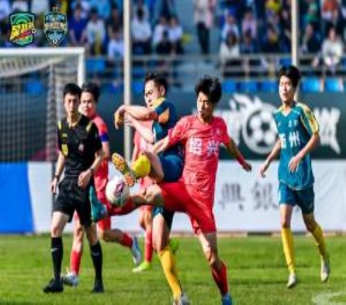 吴越杯金华01宁波绍兴13衢州台州03温州丽水11杭州