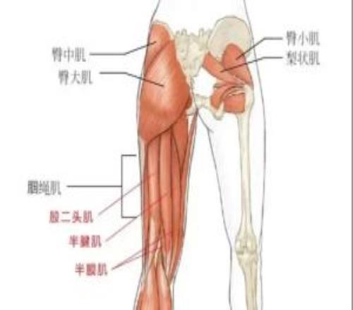 半腱肌損傷有多嚴重輕度僅需13周恢復，重度需超過26個月恢復